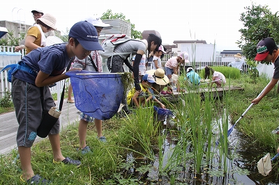 160726生き物探偵団.jpg